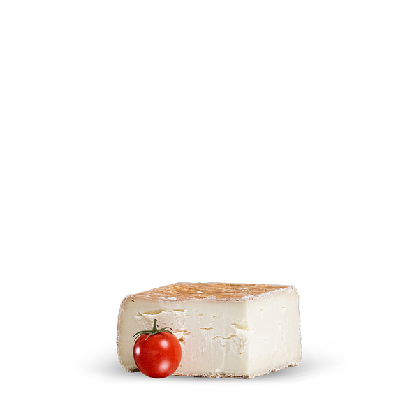 Quadrello – Soft buffalo cheese with washed rind