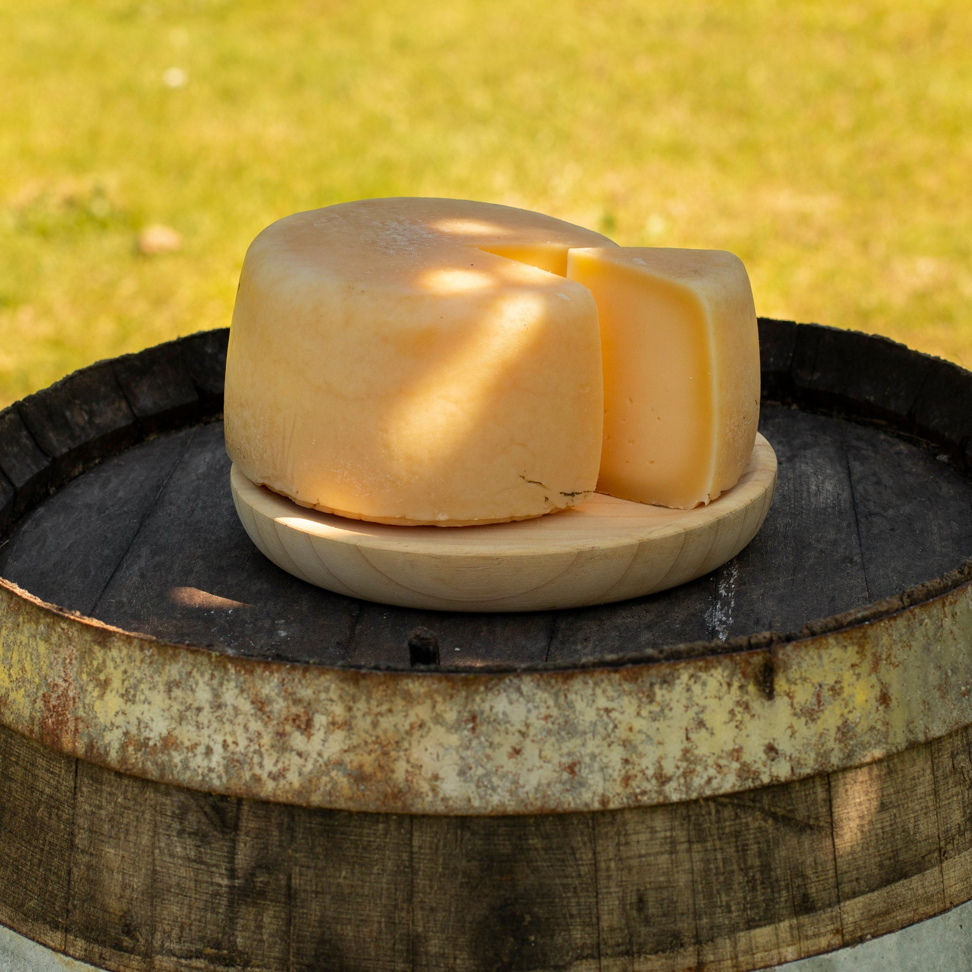 Delight Cheese