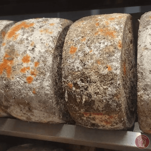 Queso Gamoneu del Valle