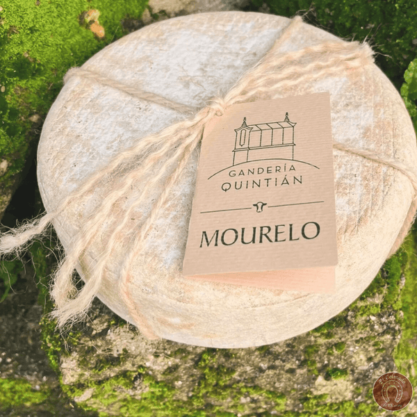 Queso Mourelo Ganaderia Quintian
