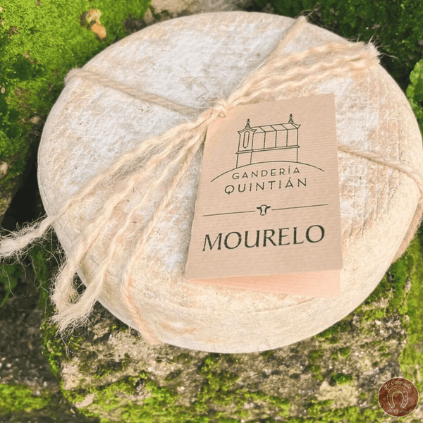 Queso Mourelo Ganaderia Quintian