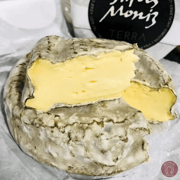 Queso TERRA cremoso de Airas Moniz