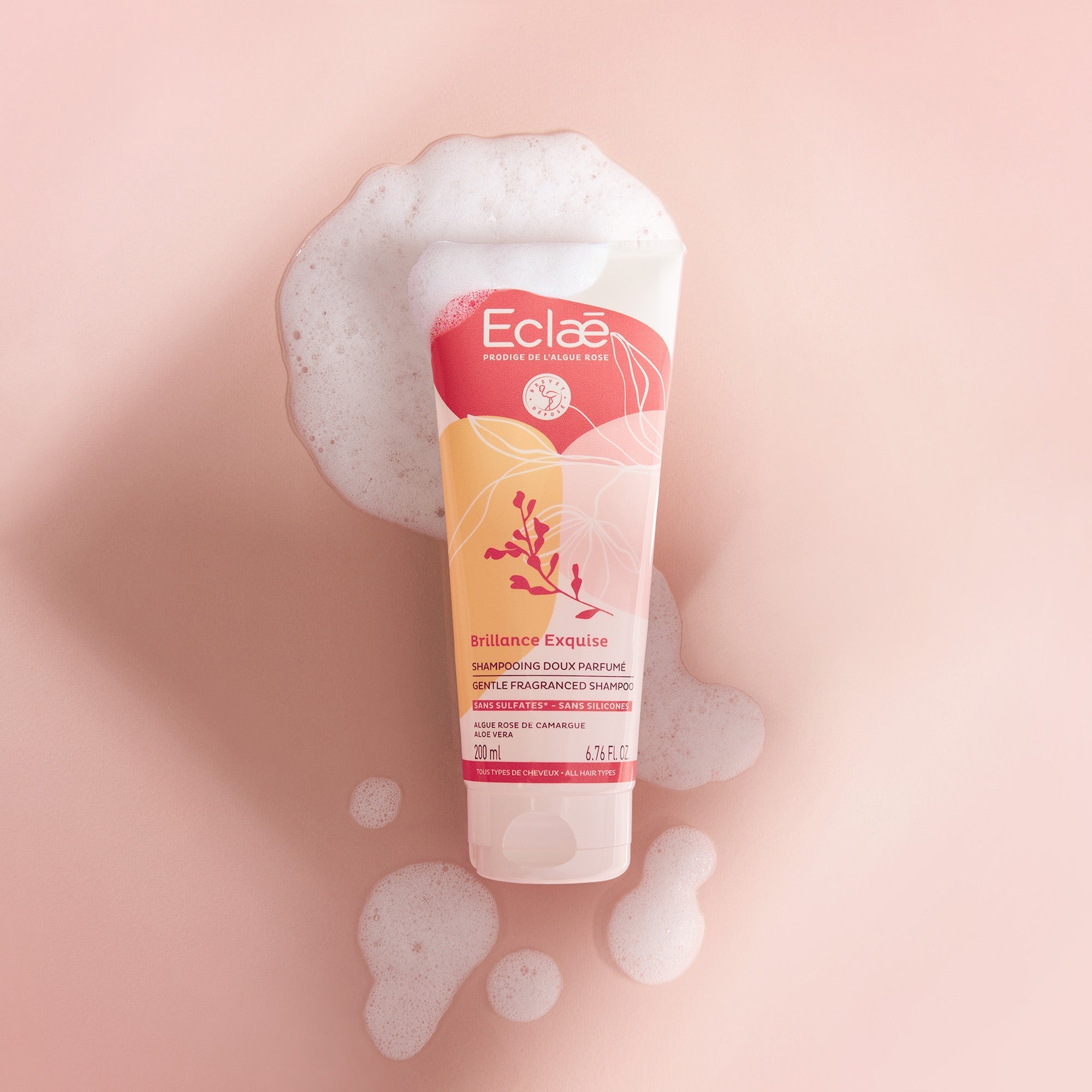 Routine Capillaire - ECLAE