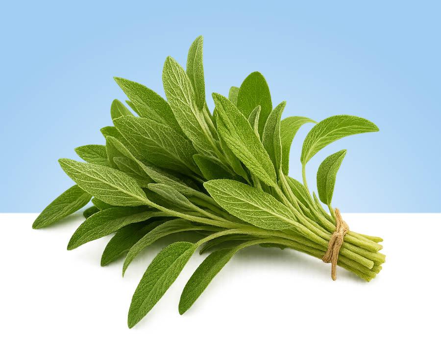 Manojo de salvia fresca de aproximadamente 100gr