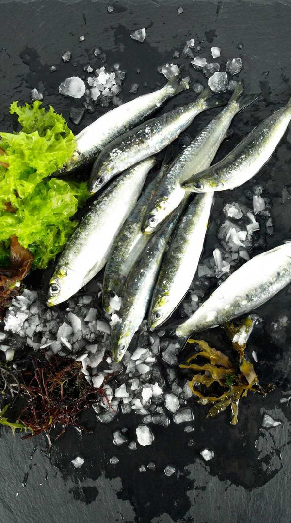 Sardinas - Marisco Rías Baixas