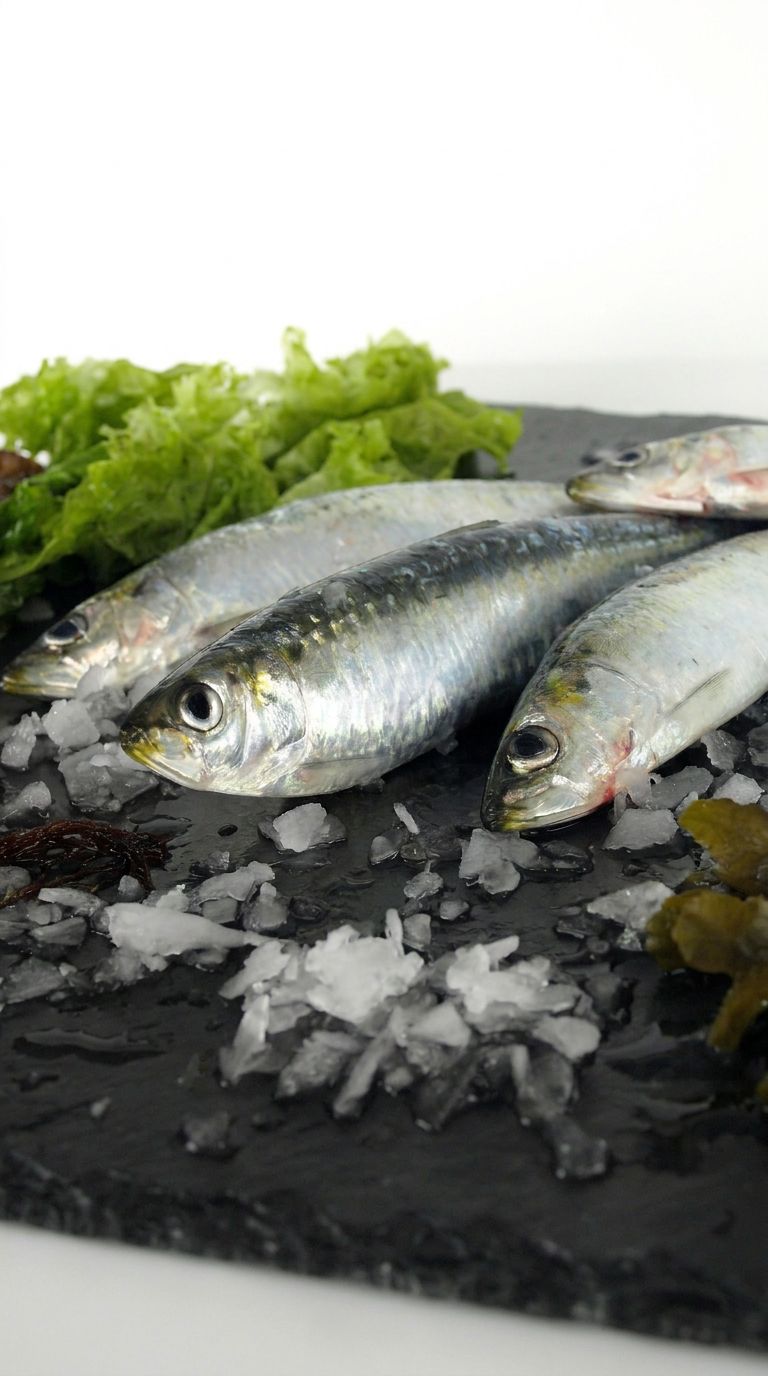 Sardinas - Marisco Rías Baixas