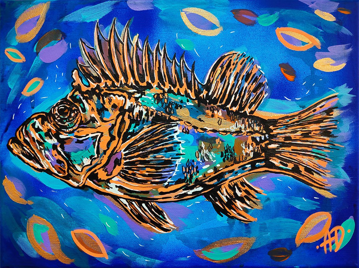 Art print - Červený groupér indigo
