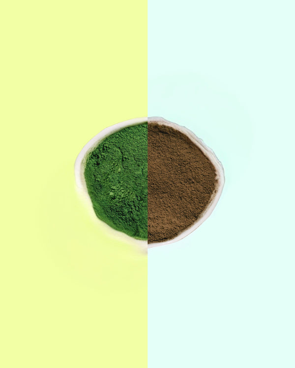 Matcha and hojicha powders side by side in one bowl