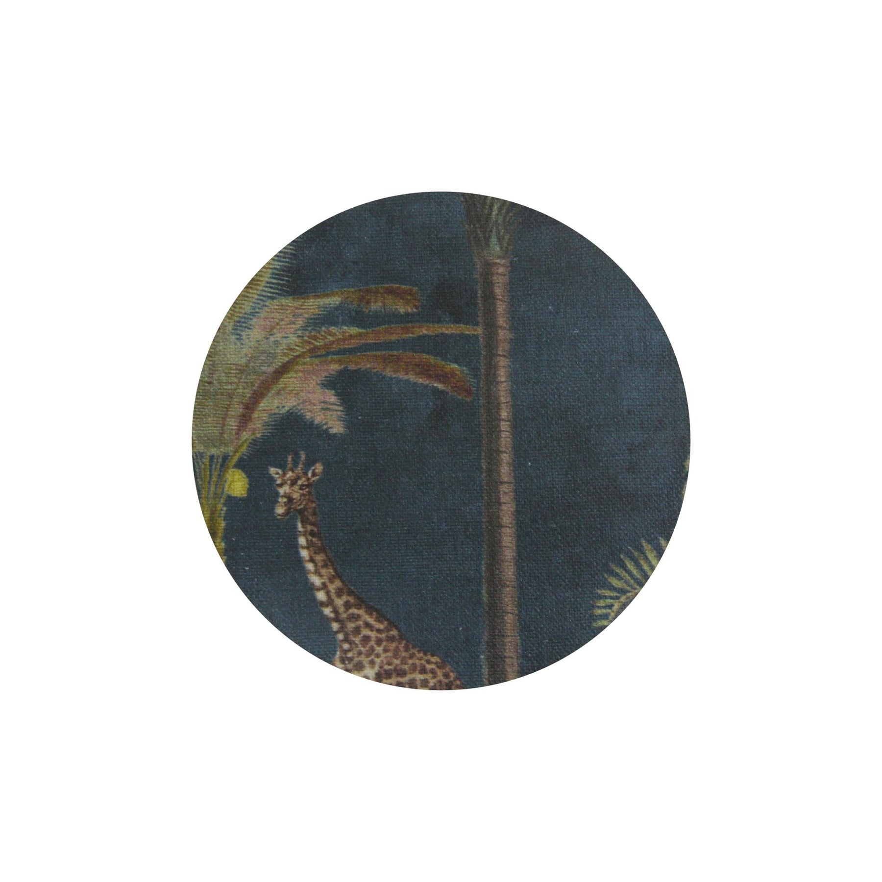 Jungle Coaster