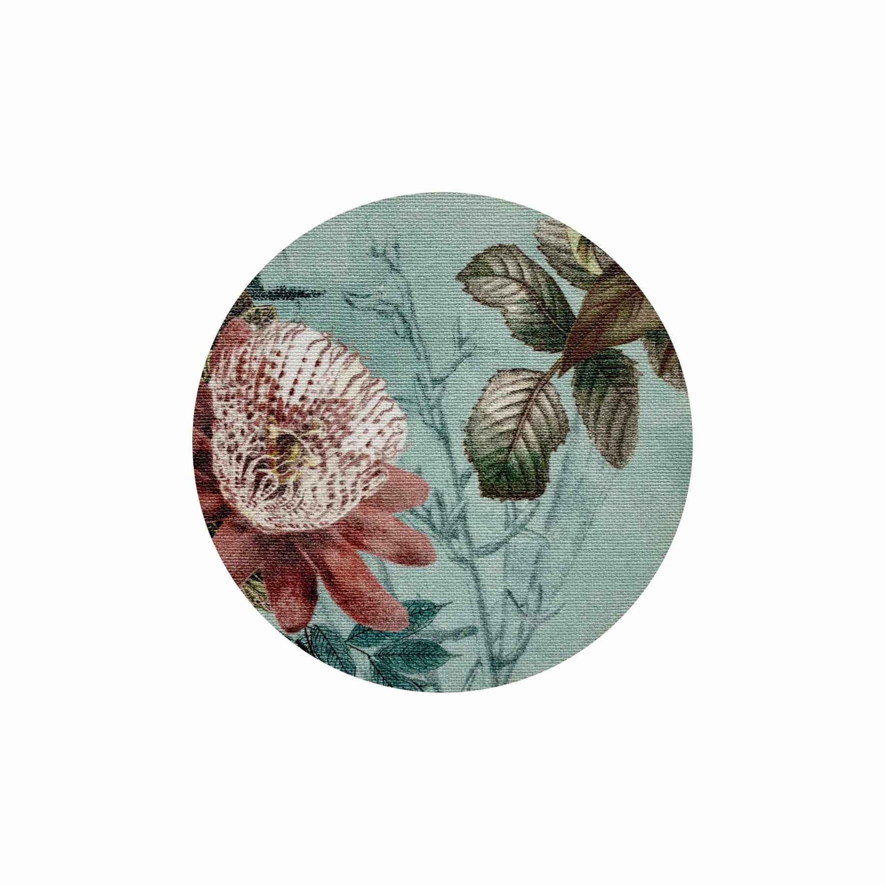 Spring Coaster
