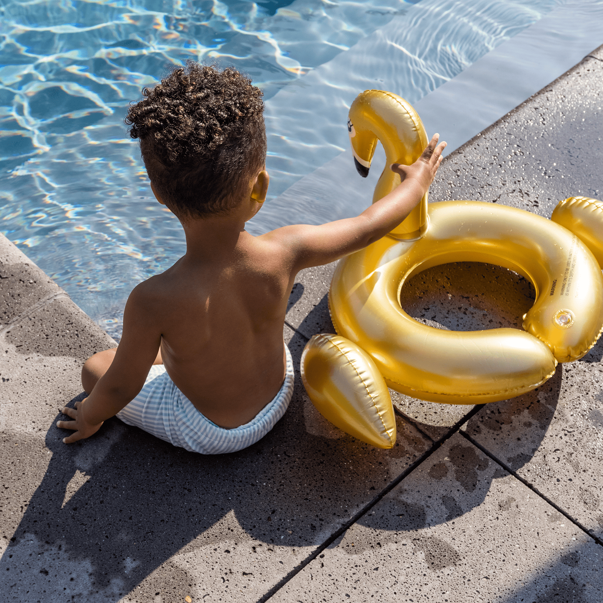 splitring-swan-55-cm-swim-essentials-3