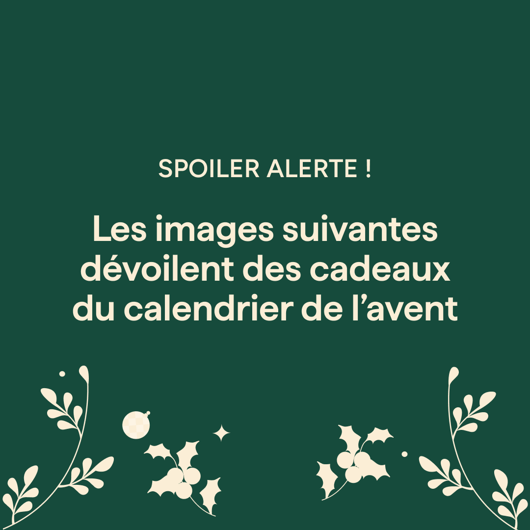 Advent Calendar - 24 Mornings, 24 Surprises