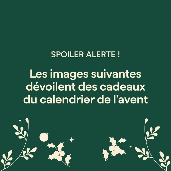 Advent Calendar - 24 Mornings, 24 Surprises