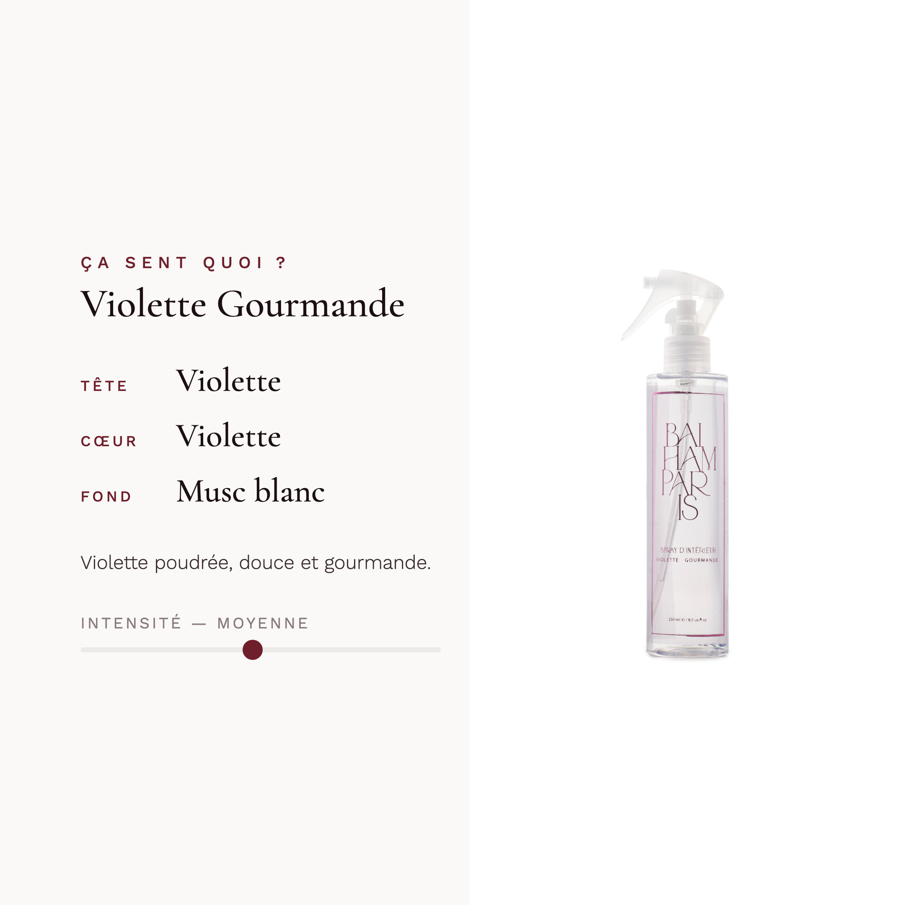 Gourmet Violet