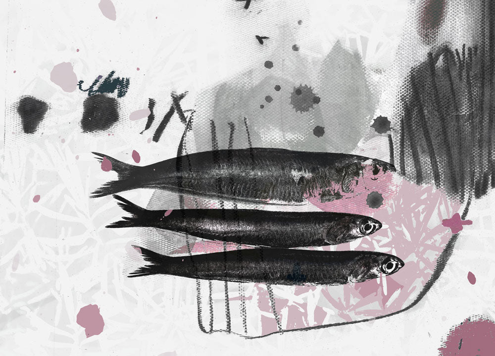 Sardine