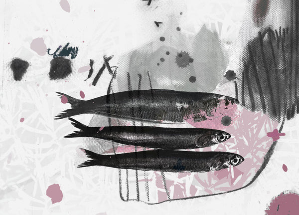 Sardine