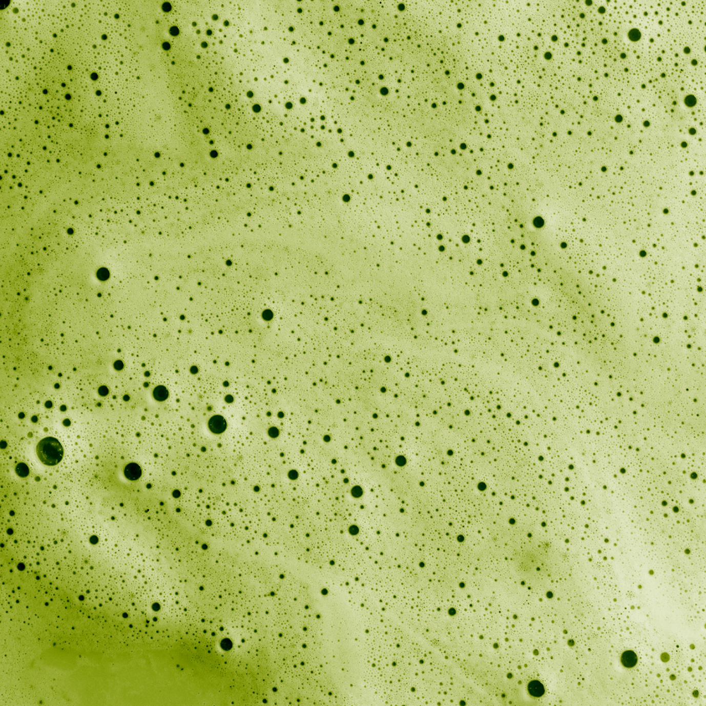 Gros plan sur le matcha latte bio de nümorning après préparation