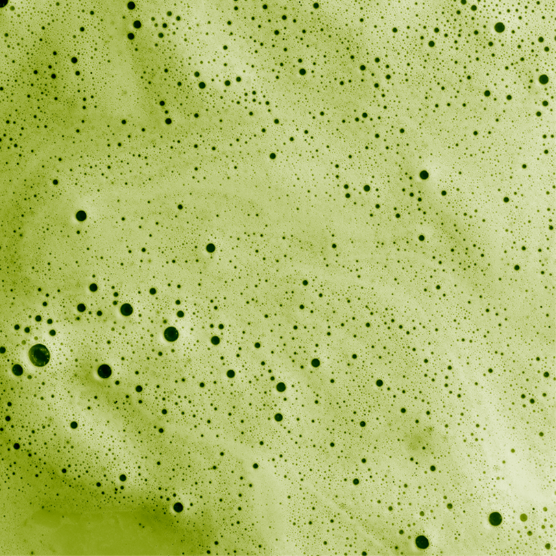 Matcha - ceremonial matcha