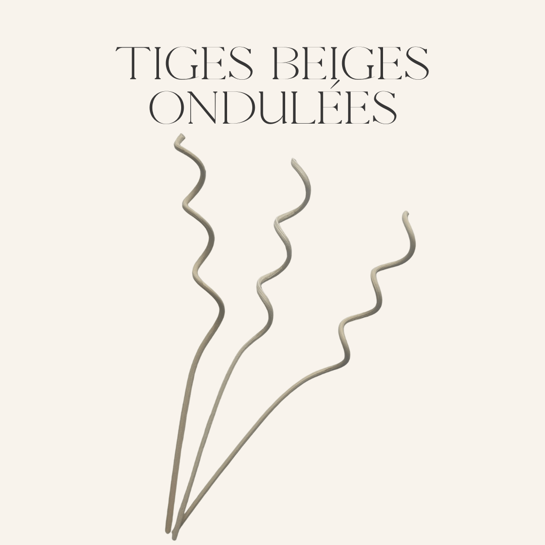 Tiges beige ondulées - Scarly Shop