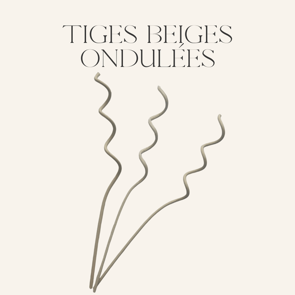 Tiges beige ondulées - Scarly Shop