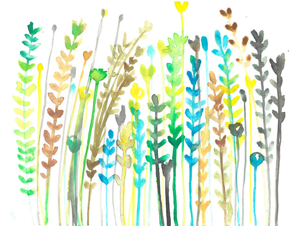 Grass