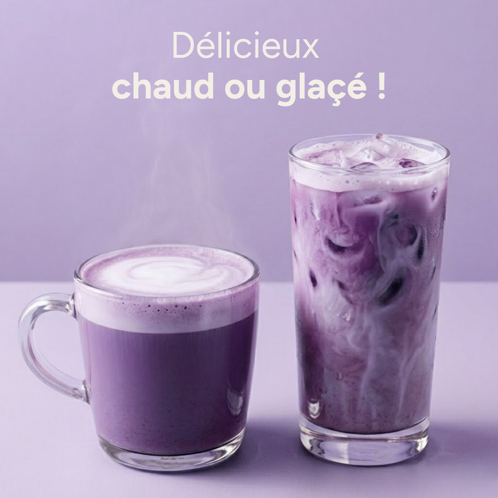 Ube latte servi chaud en tasse et glacé en verre