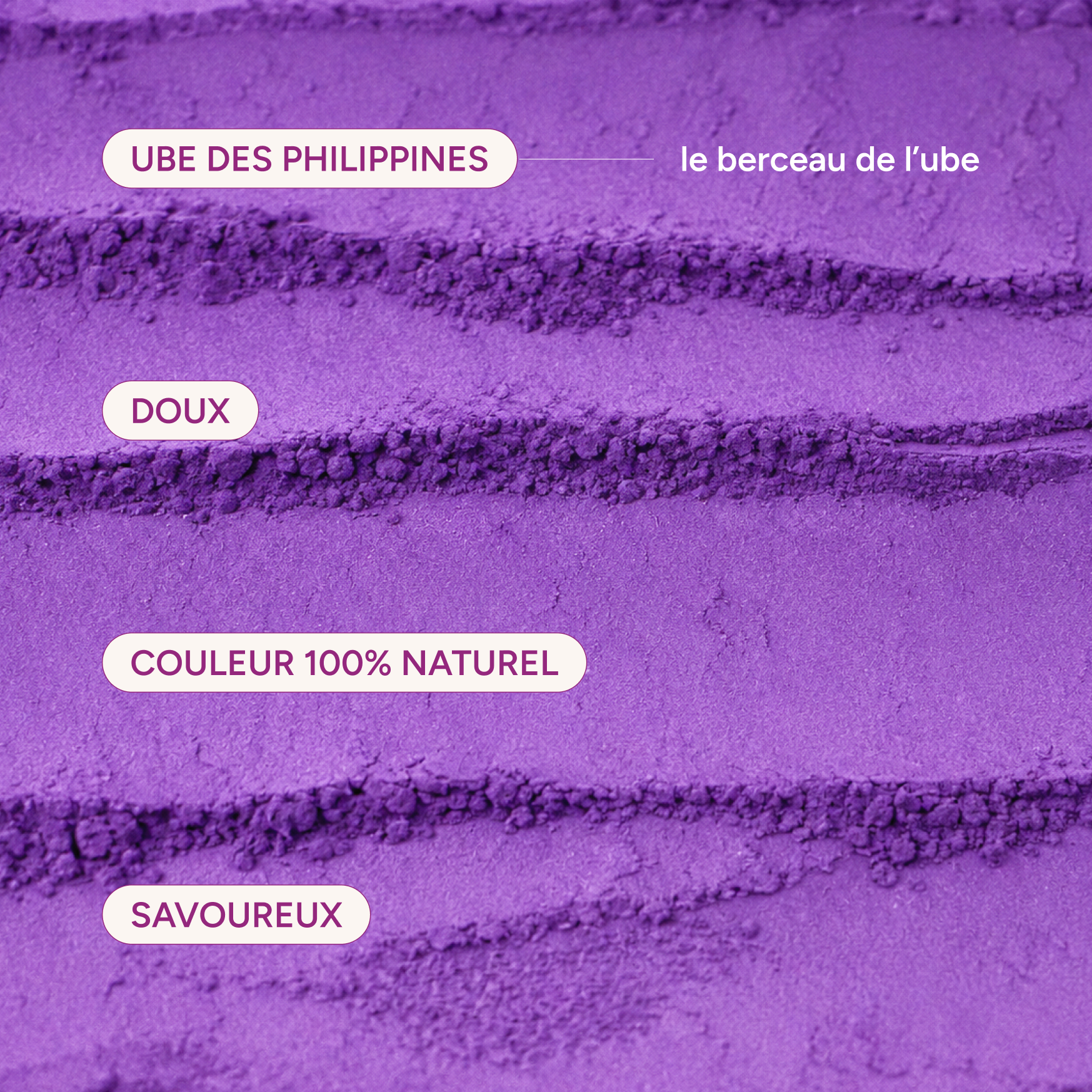 Ube des Philippines, berceau de l'ube : doux, savoureux, couleur 100% naturelle