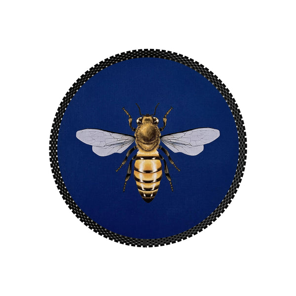 Insect Tray