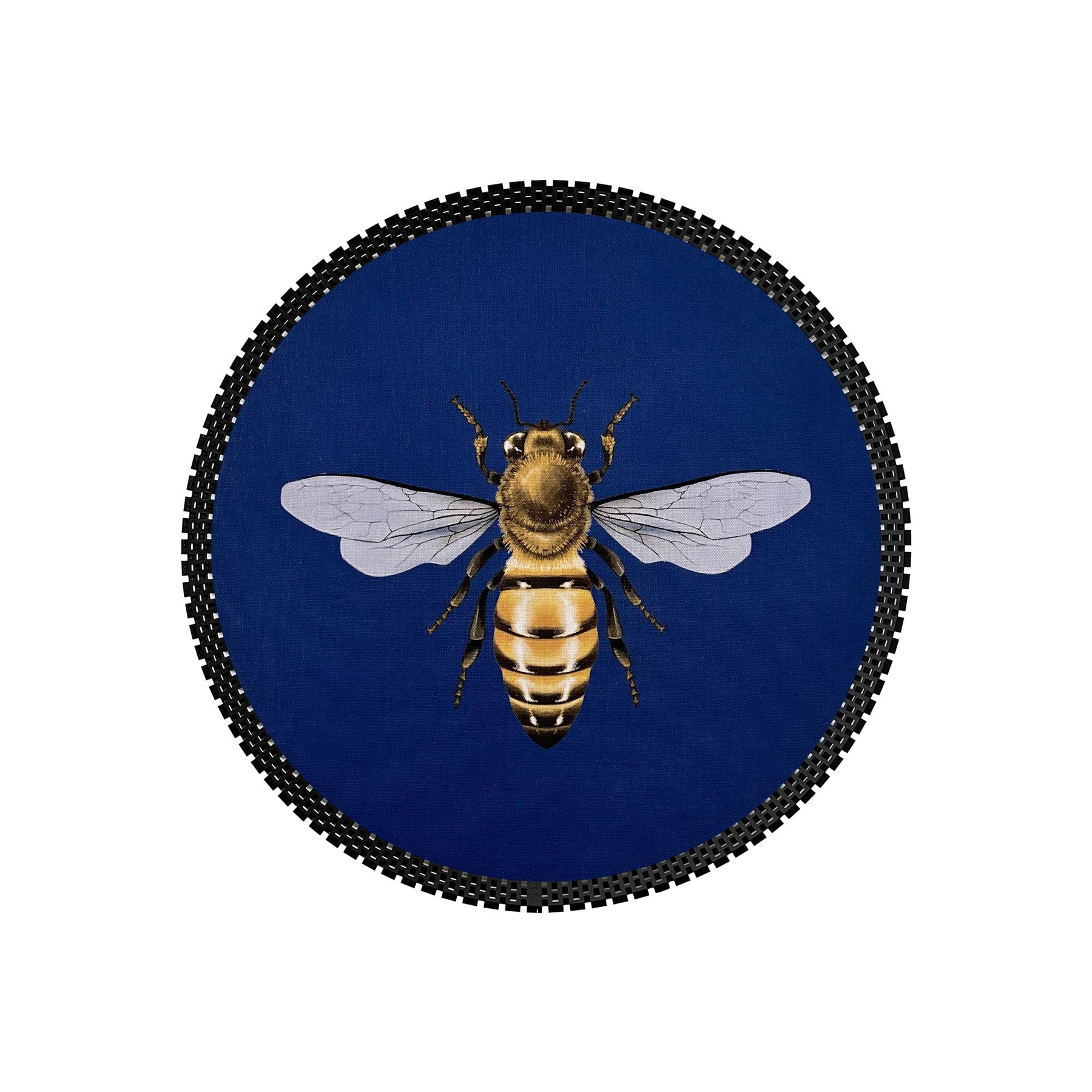 Insect Tray