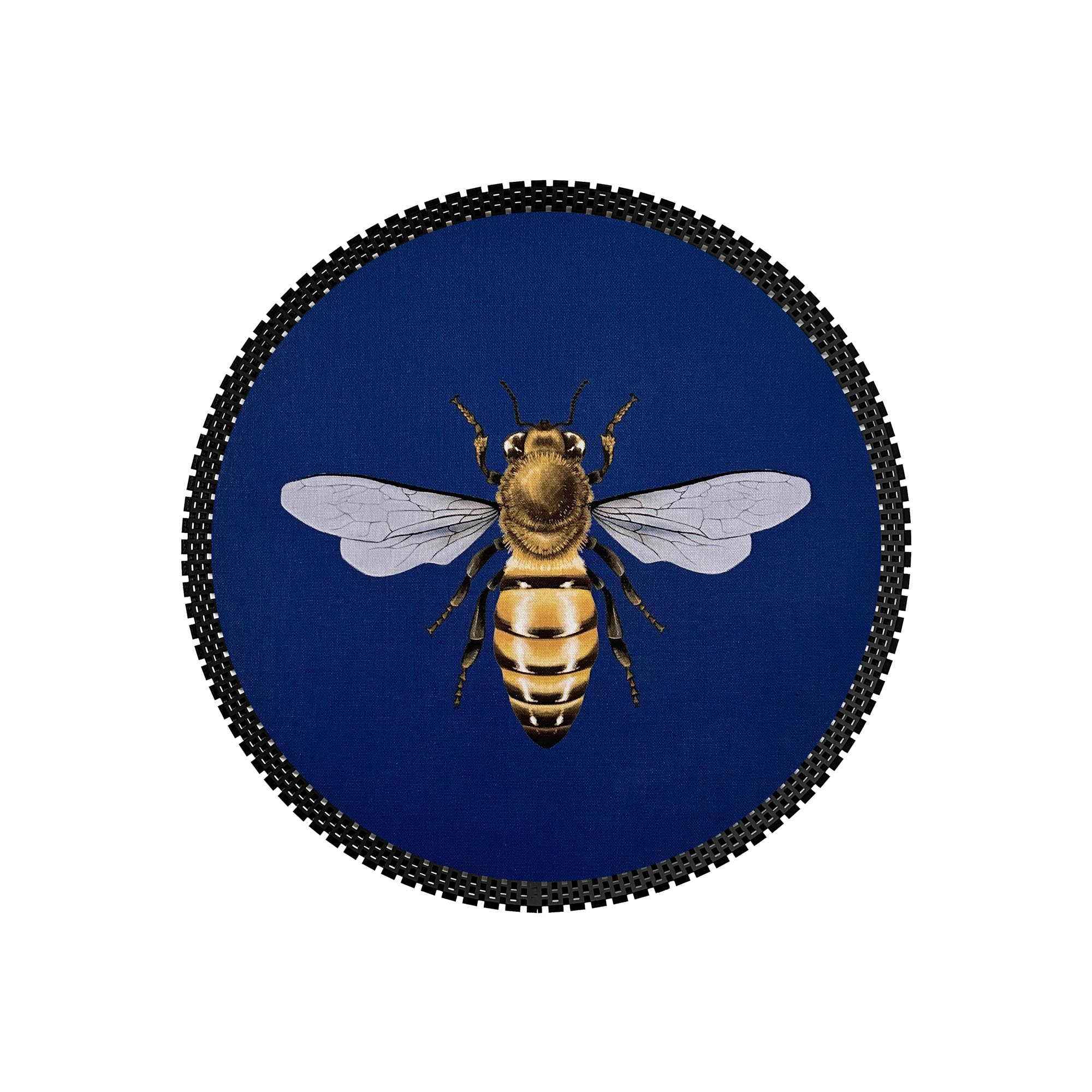 Insect Tray
