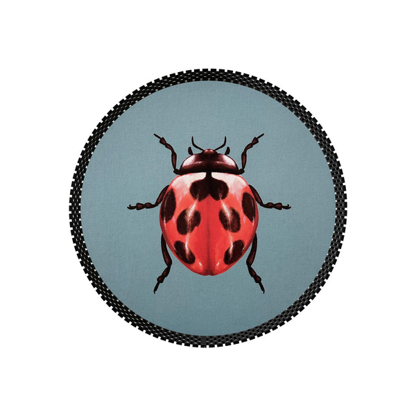 Insect Tray