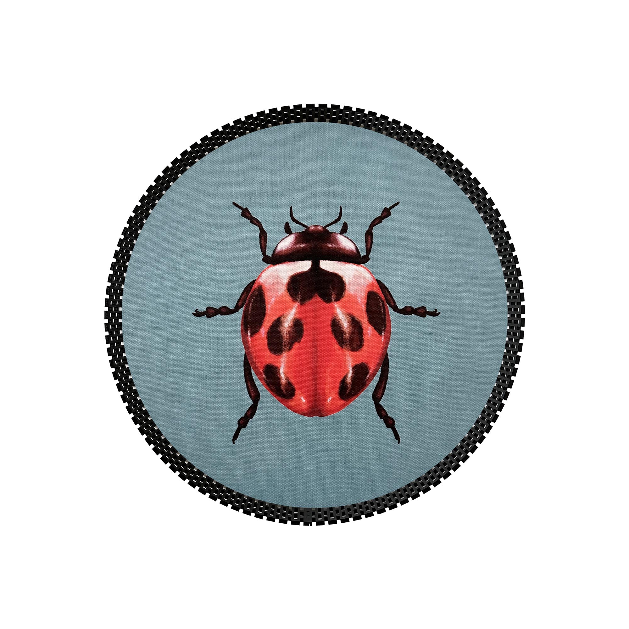 Insect Tray
