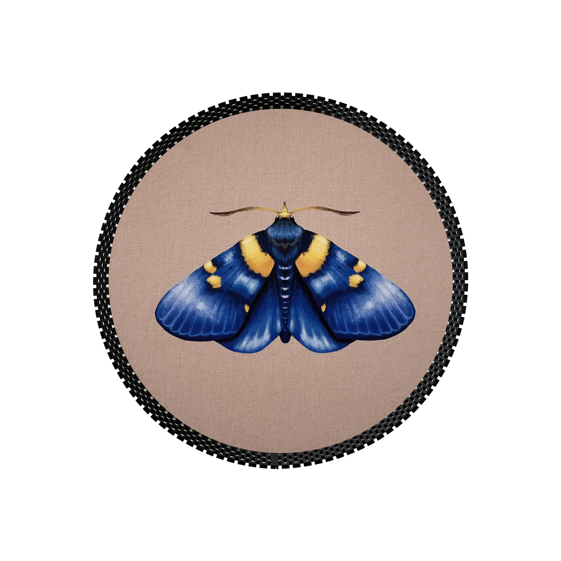 Insect Tray