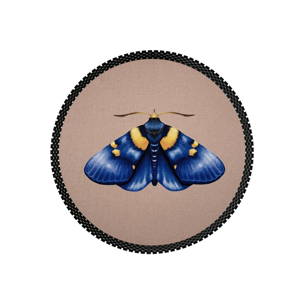 Insect Tray