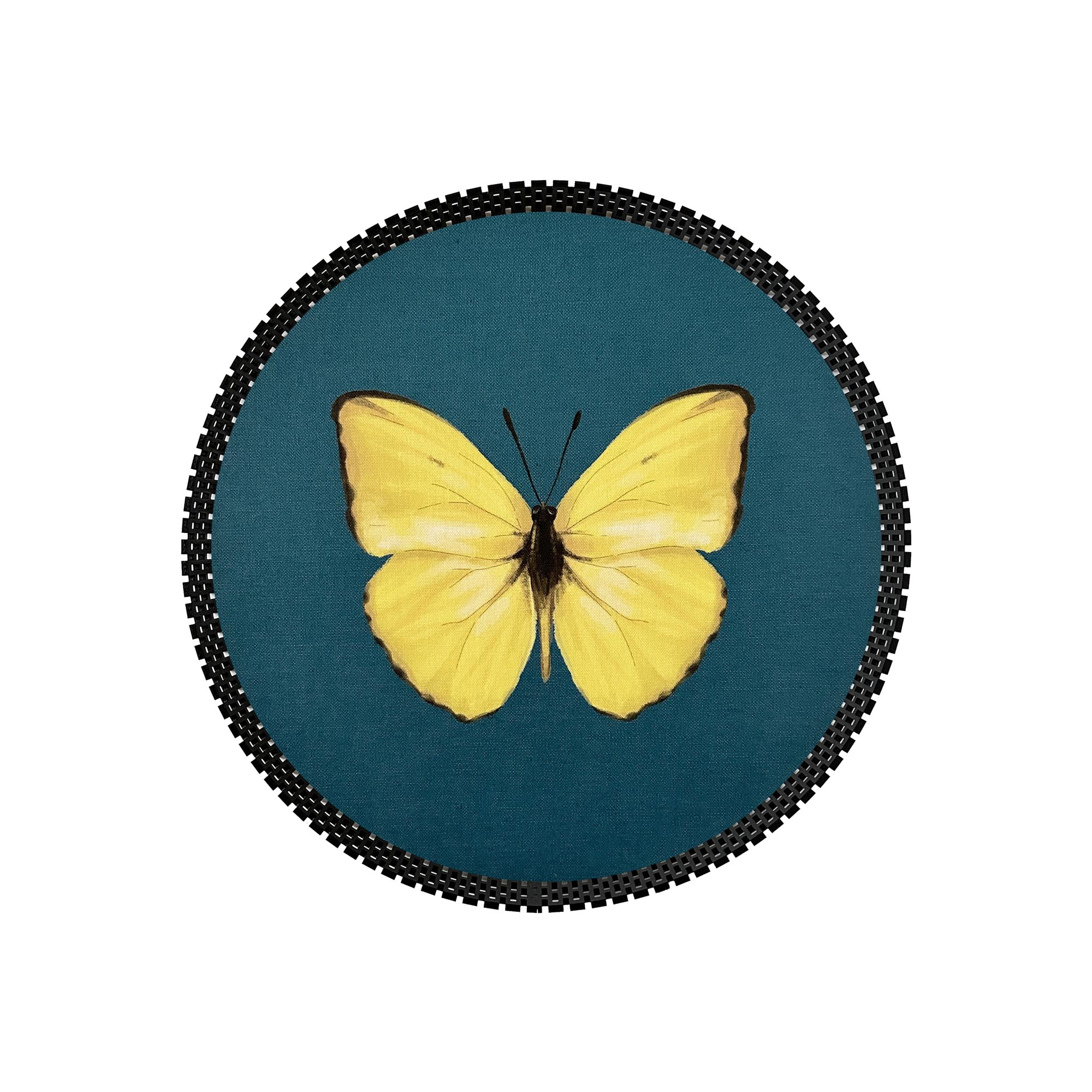 Insect Tray