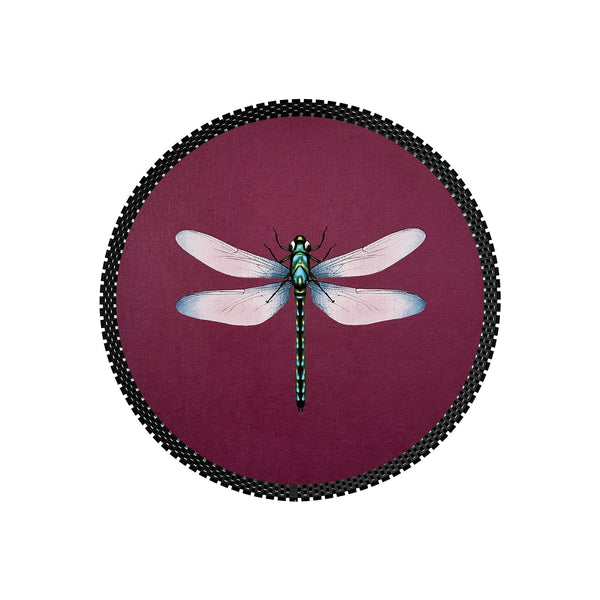 Insect Tray