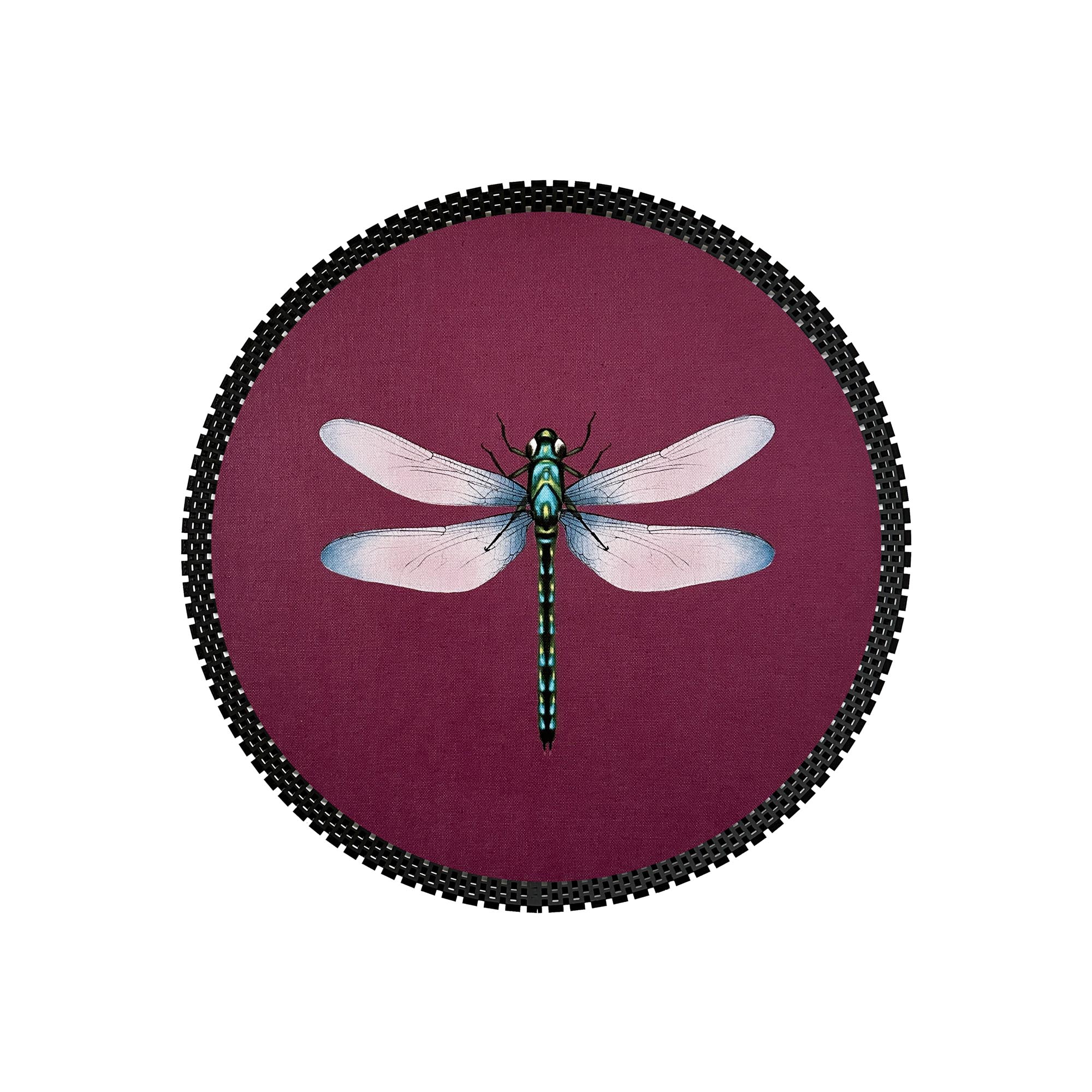 Insect Tray