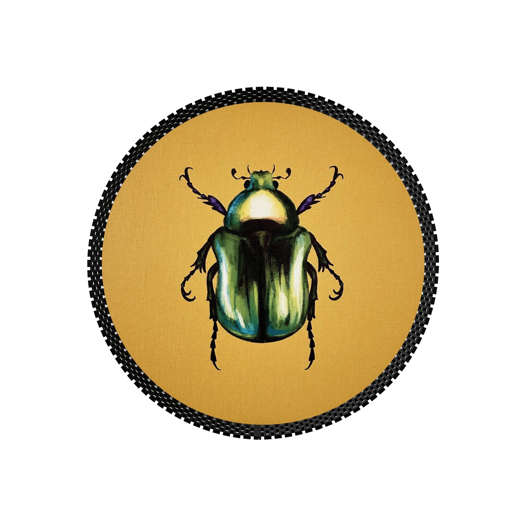 Insect Tray