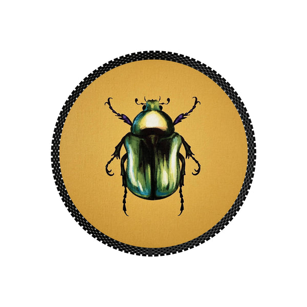 Insect Tray