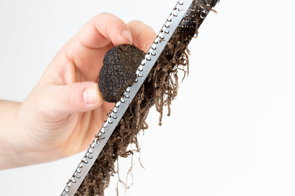 Microplane Truffle Zester